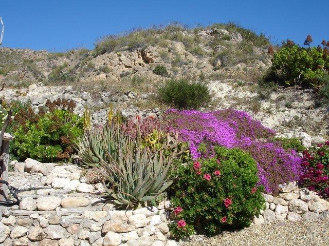 Los Alias Almond Reef Casa Rural الغرفة الصورة